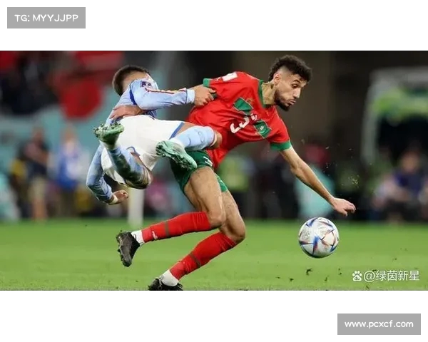 哈基米：从摩洛哥足球新星到国际舞台的闪耀之光